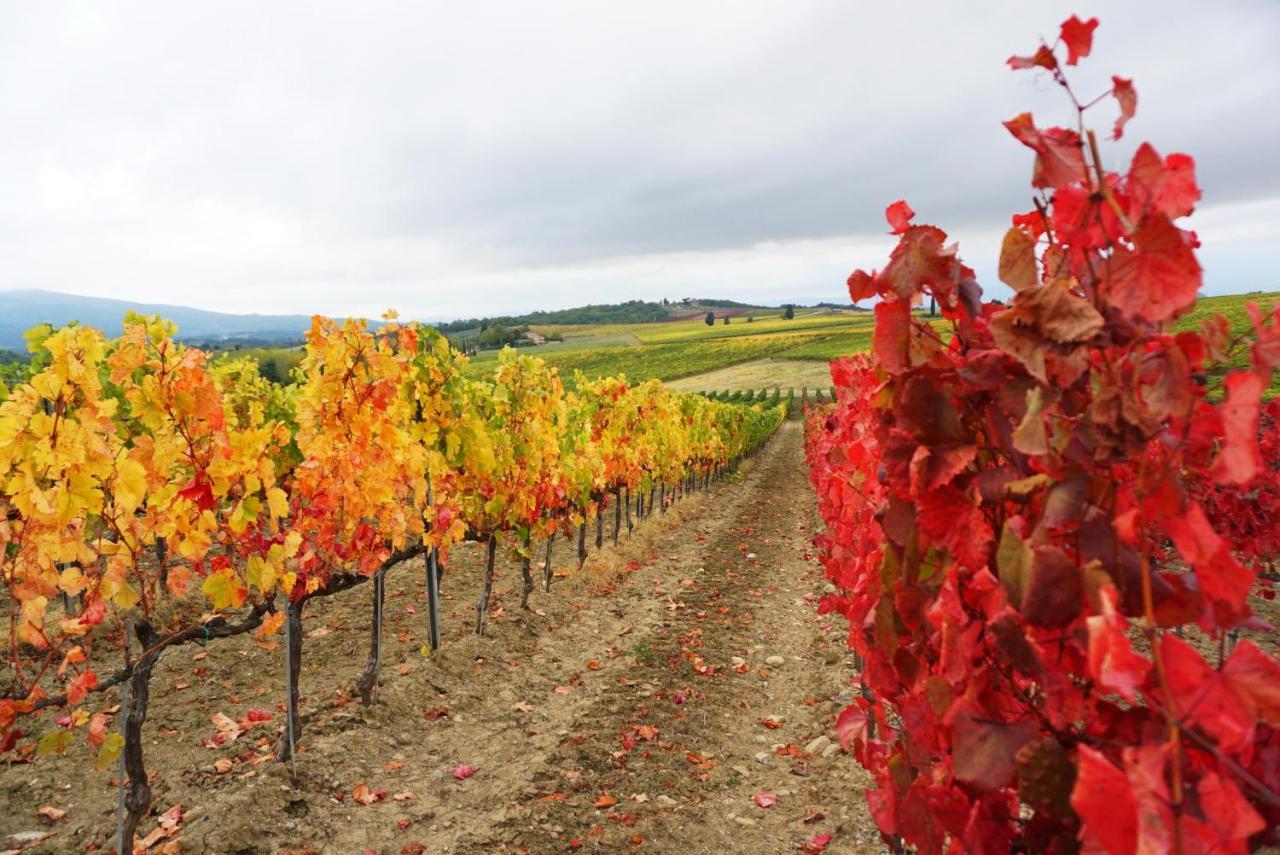 Fattoria Lornano Winery Βίλα Monteriggioni Εξωτερικό φωτογραφία