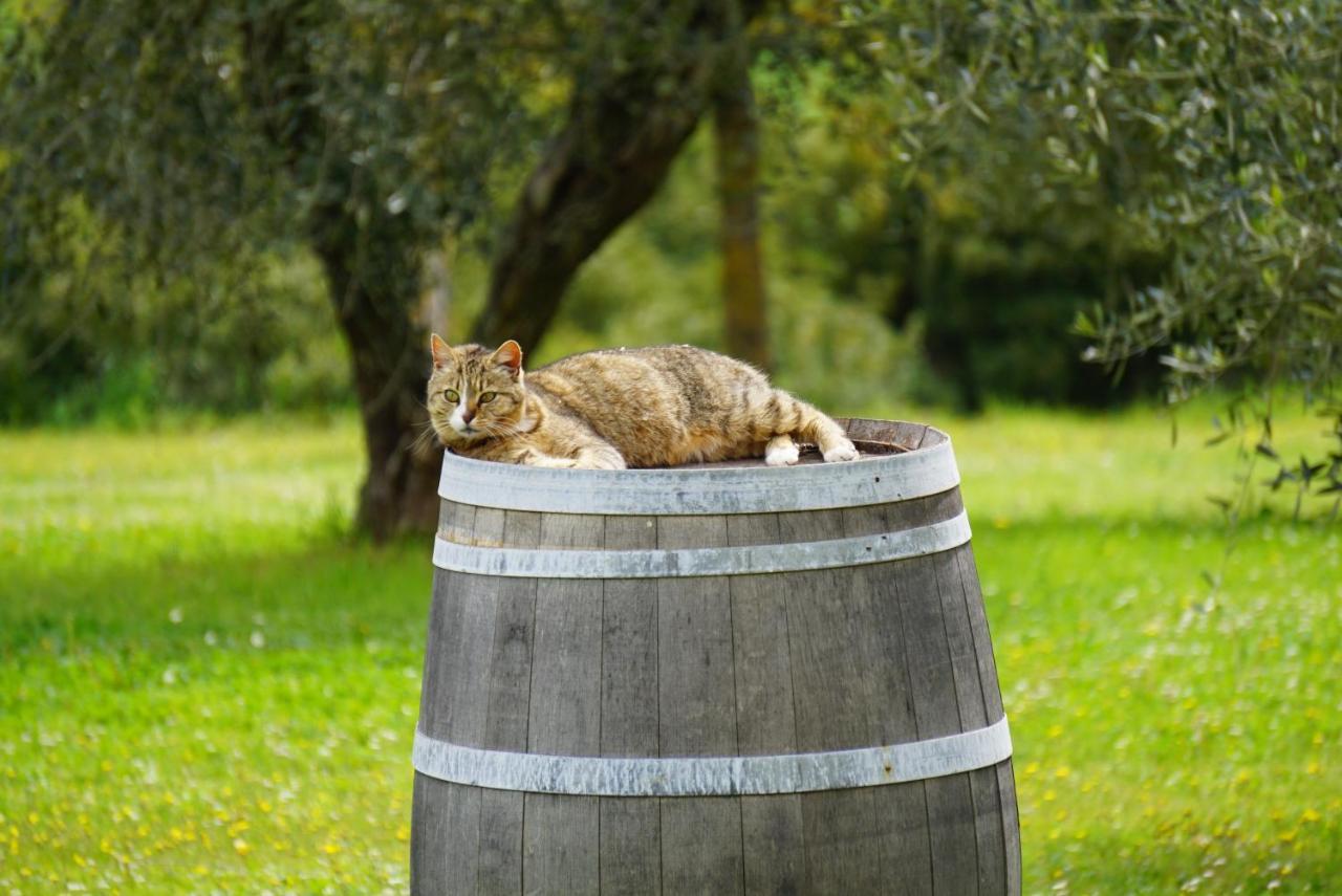 Fattoria Lornano Winery Βίλα Monteriggioni Εξωτερικό φωτογραφία