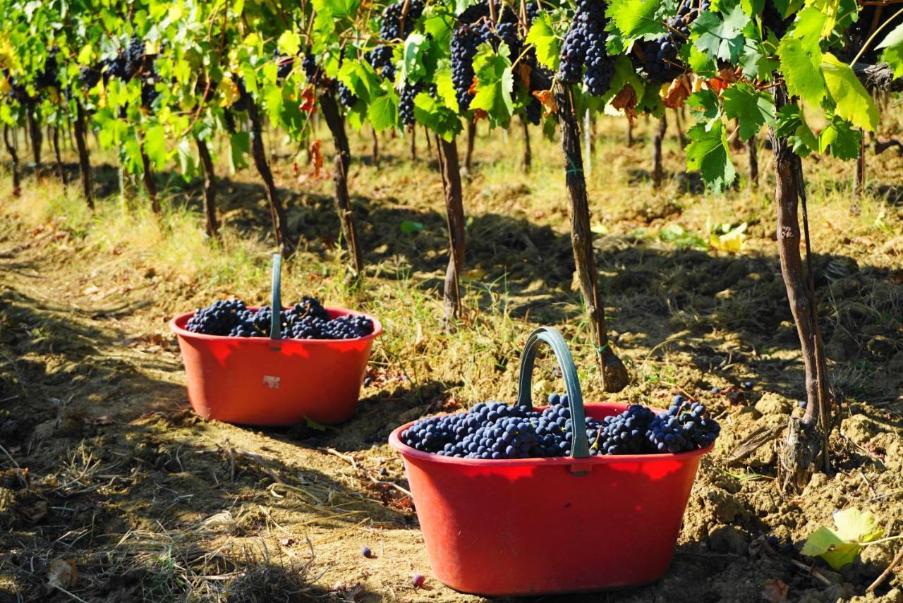 Fattoria Lornano Winery Βίλα Monteriggioni Εξωτερικό φωτογραφία